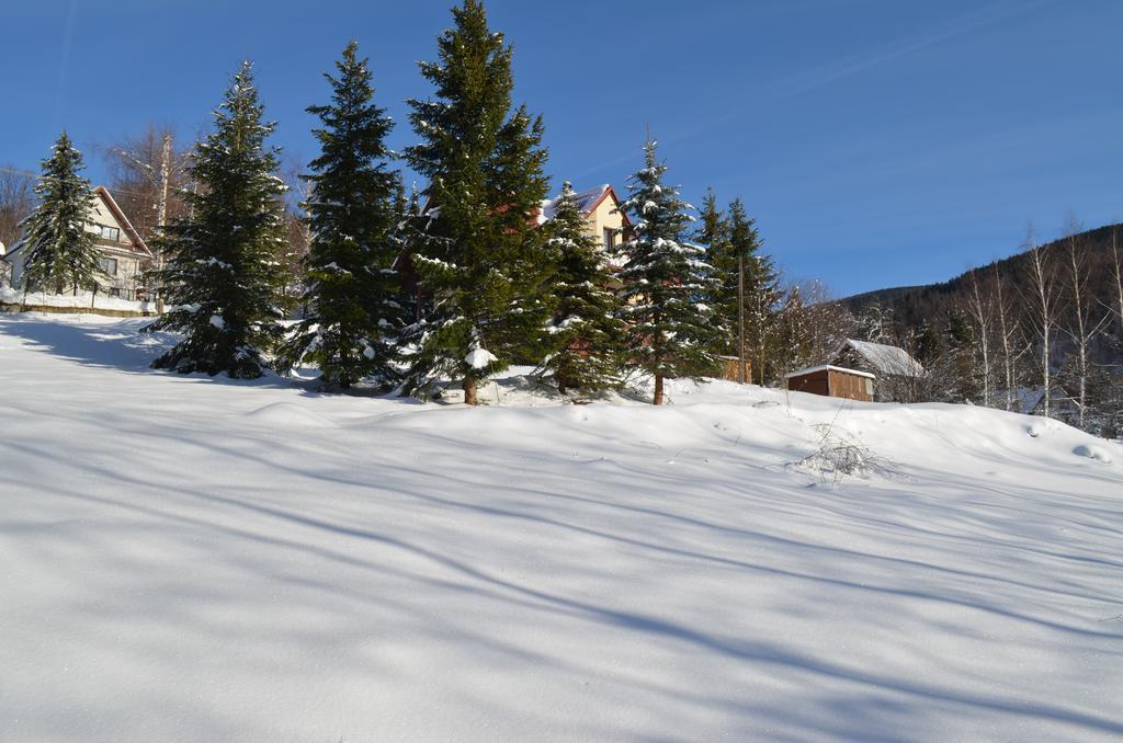 Villa Dom Na Mosornym Groniu Zawoja Exterior foto
